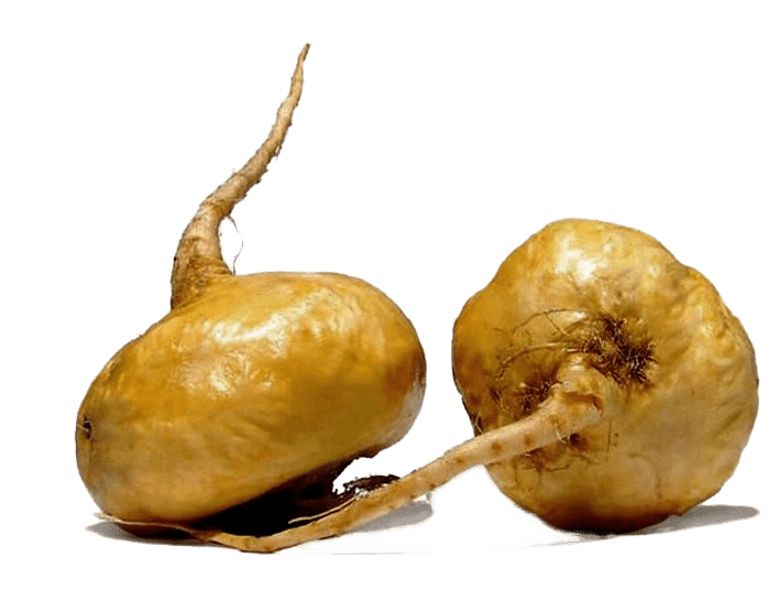 Maca peruánská je jihoamerickým zdrojem zdraví