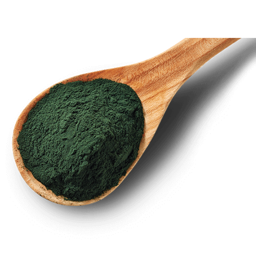 Jaké výhody má užívání spiruliny?