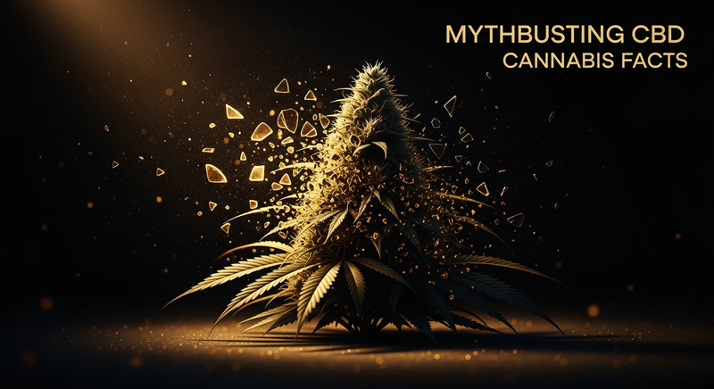 5 běžných mýtů a kontroverzí o konopí s vysokým obsahem CBD